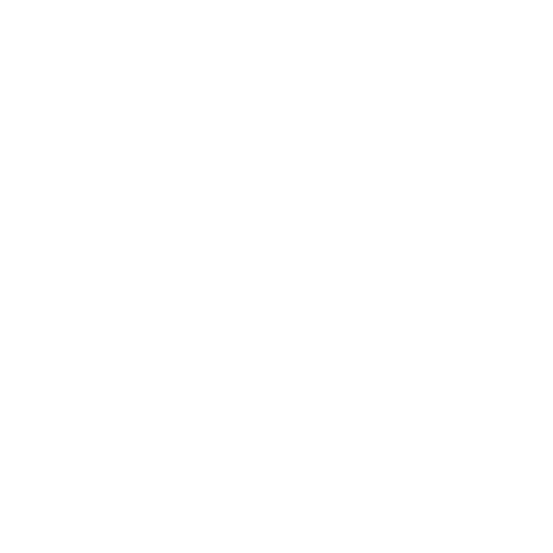 Logo Schiaffino
